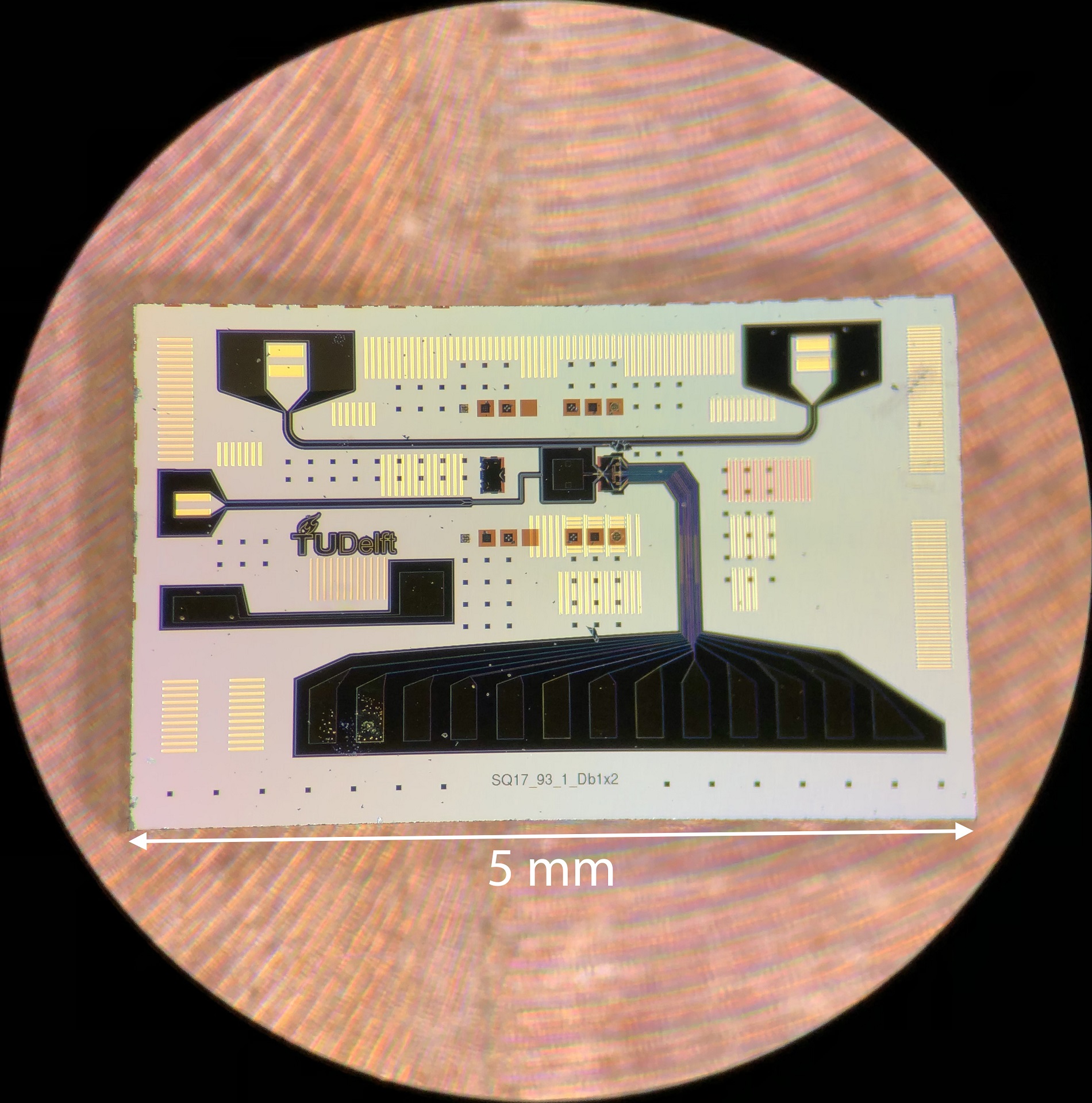 Optical microscope image of the quantum chip with the on-chip resonator and quantum dots
