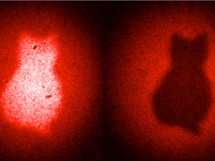 New quantum imaging technique generates images with photons that have never touched to object