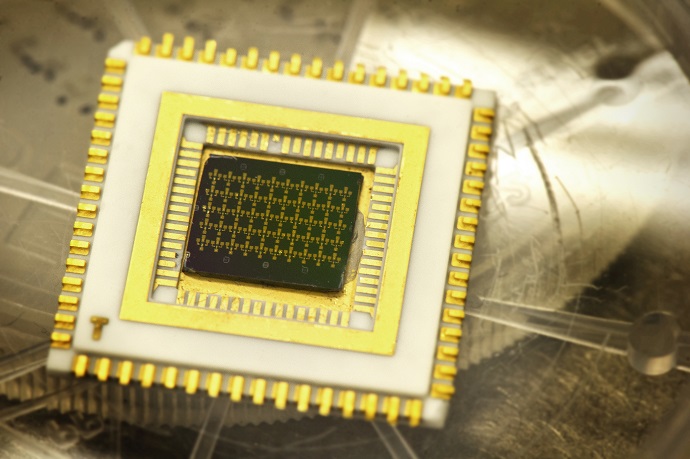 A chip which contains nanoscale structures