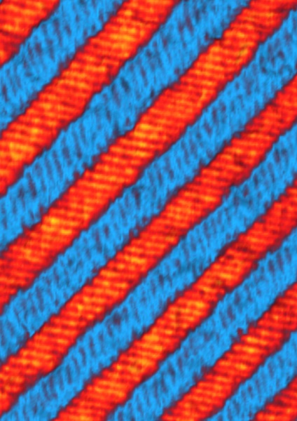 A colorized image showing domains of different orrientations in a ferroelectric oxide