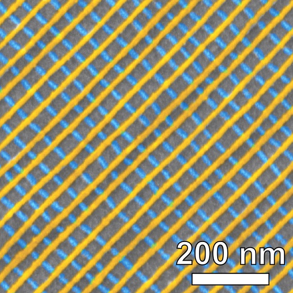 Scanning electron microscope image of a self-assembled platinum lattice