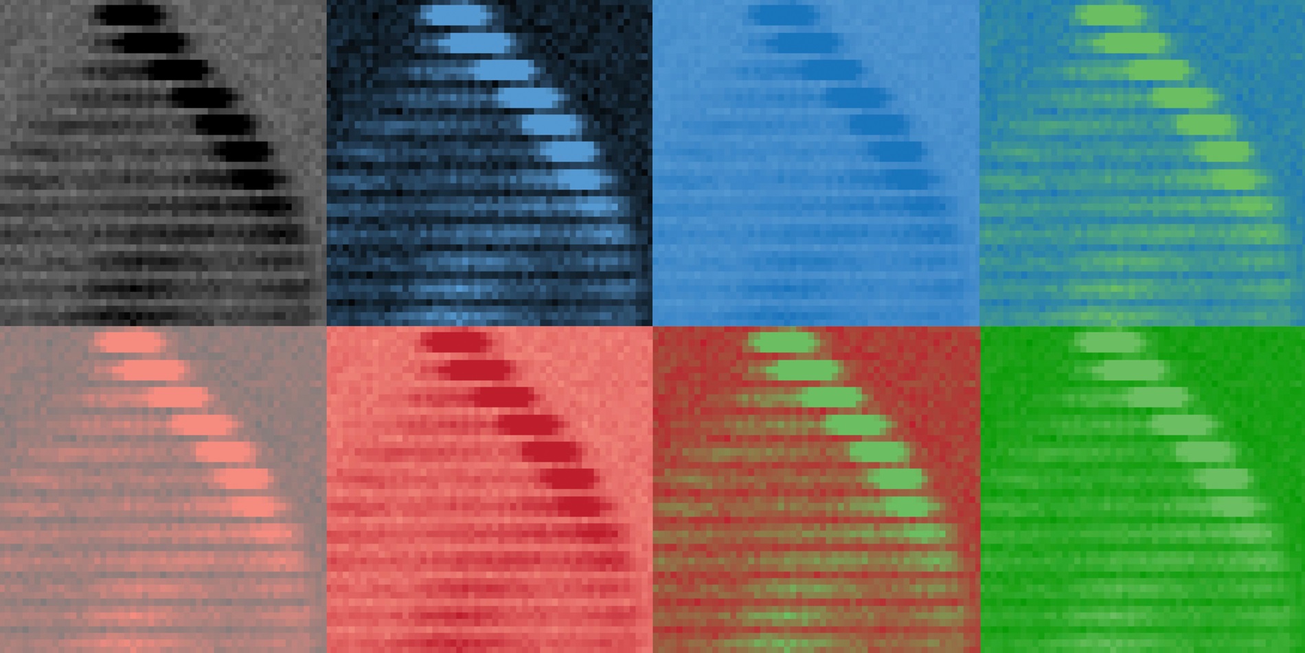 The results of the ETH researchers as an homage to Andy Warhol. The image shows the experimental results of topological pumping