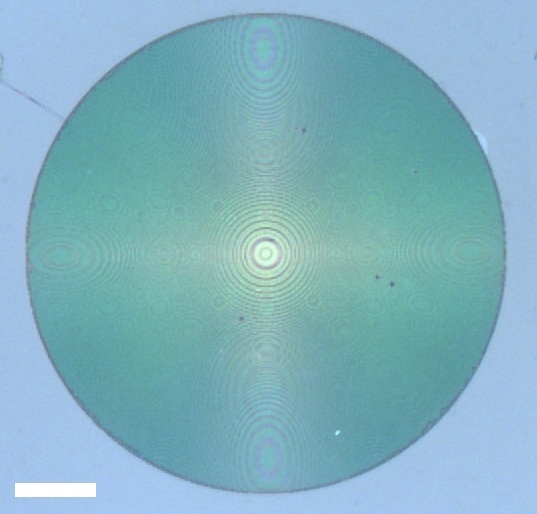 Optical image of the meta-lens designed at the wavelength of 660 nm