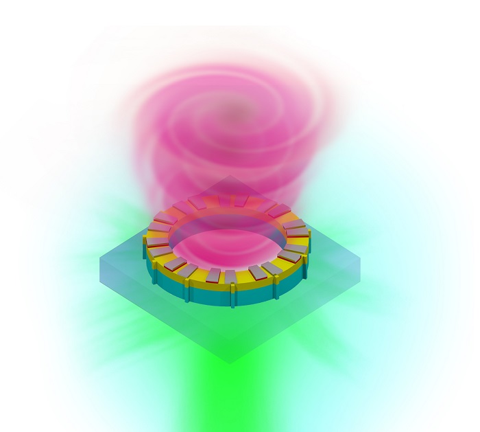 The image above shows vortex laser on a chip