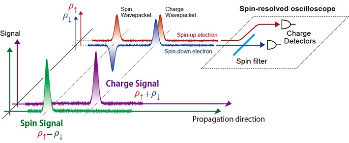 Conceptual diagram of charge- and spin-signal measurement