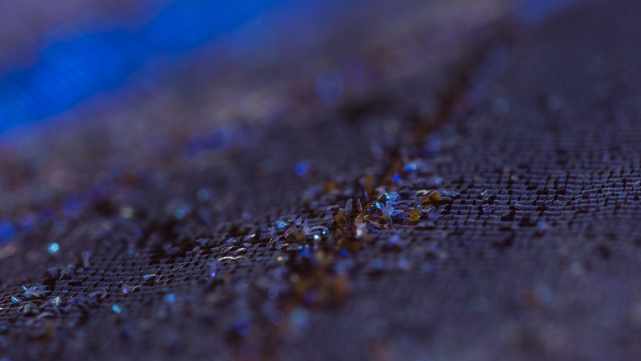 A close up of a blue Morpho butterfly's wing