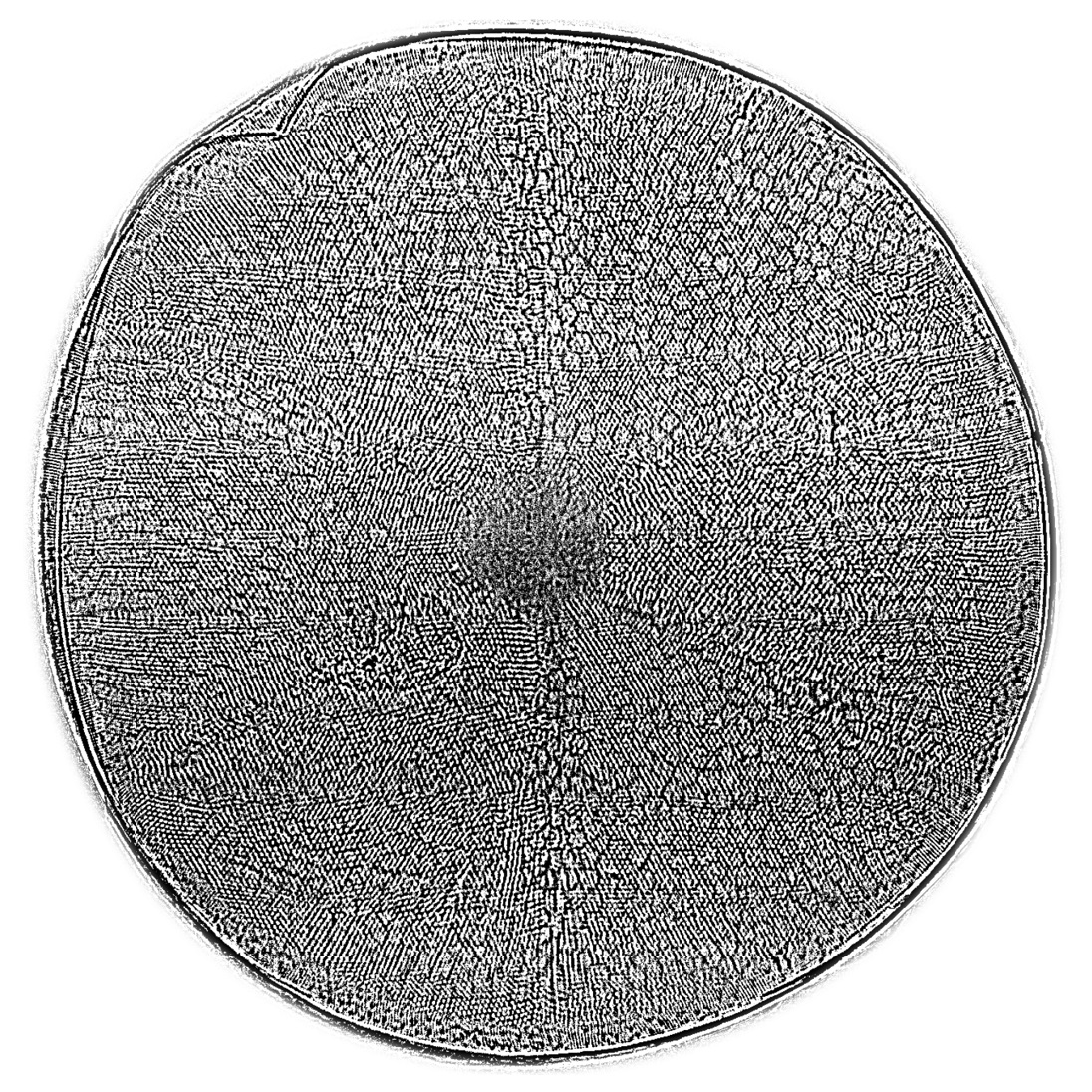 The silica shell of the diatom Actinoptychus senarius, measuring only 0.1 mm across