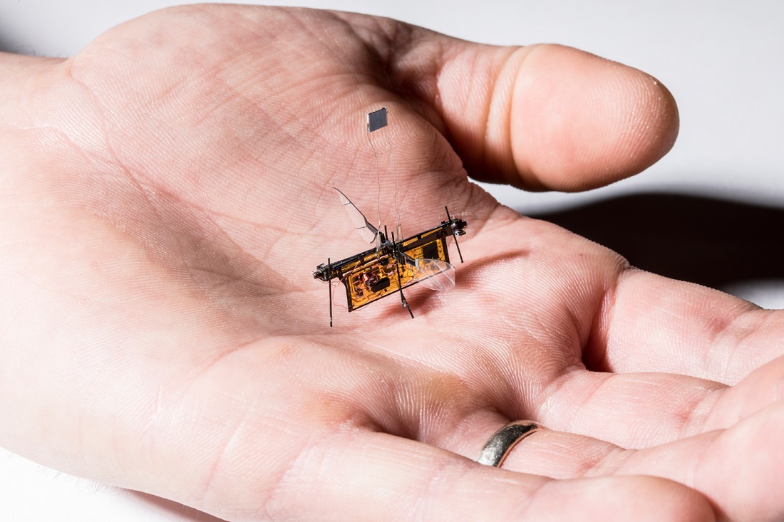 RoboFly is slightly heavier than a toothpick
