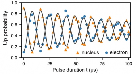 Experimental measurement of the probability of finding the nuclear and the electron spins pointing 'up'