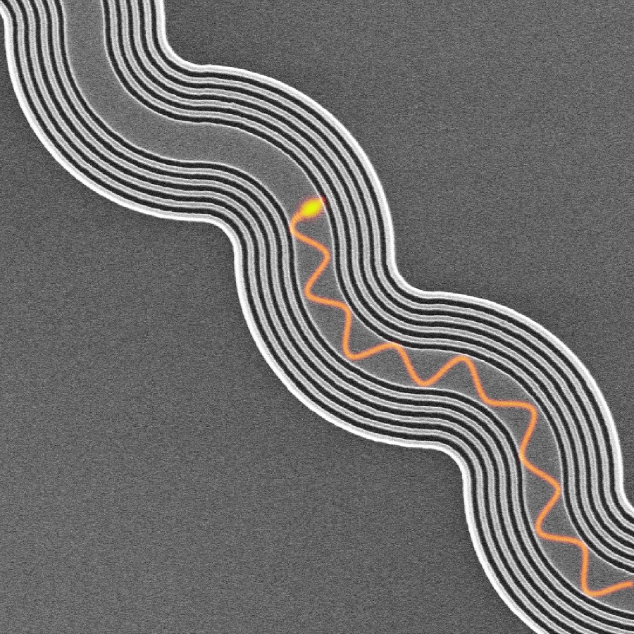 An anisotropic metamaterial waveguide cladding keeps light travel on track throughout a computer chip, preventing leaked and jumbled bits of information