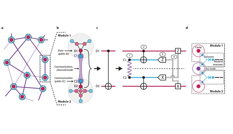 A network overview of the modular quantum architecture demonstrated in the new study.