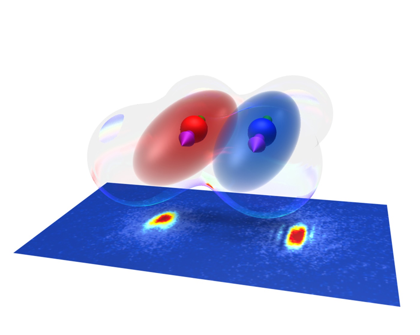 The Bose-Einstein condensates of Erbium and Dysprosium coexist and interact with each other