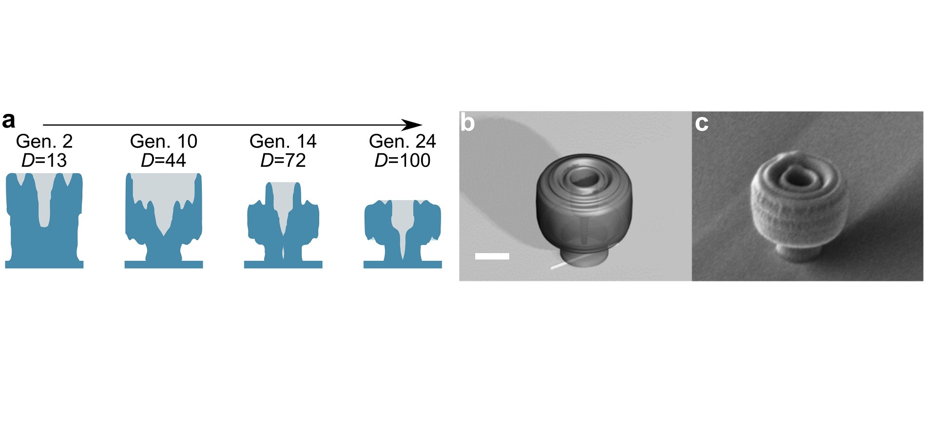 Nanophotonic lens optimization and structure.