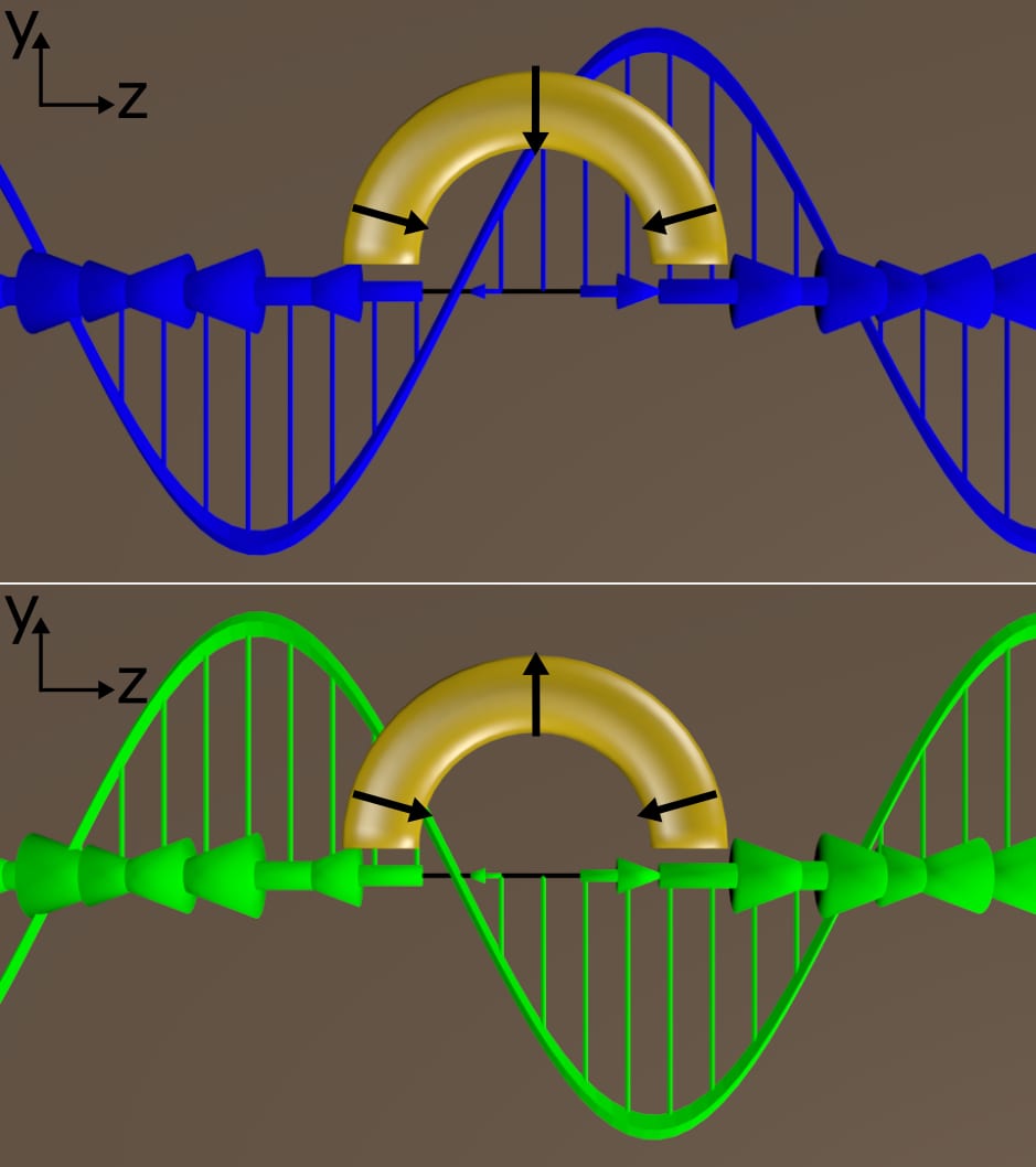 Circularly polarized light delivered at a particular angle to C-shaped gold nanoparticles produced a plasmonic response unlike any discovered before, according to Rice University researchers