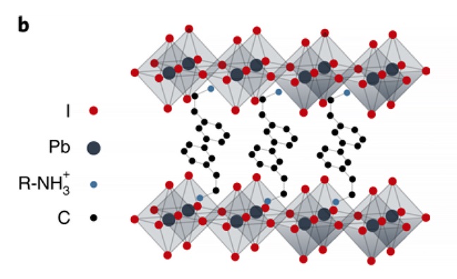 HOIP, halide organic-inorganic perovskite