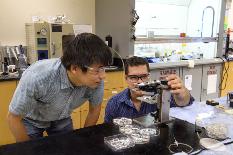 Lei Li, assistant professor, and graduate student Mojtaba Falahati