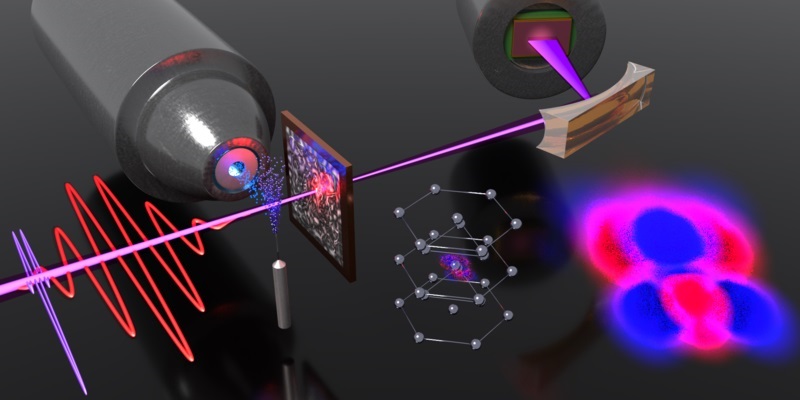 Light-induced electron localization dynamics in transition metals were investigated with attosecond transient absorption spectroscopy and first-principles simulations