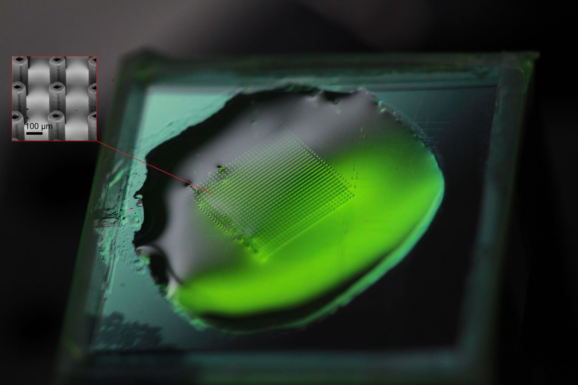 Image shows a printed micropillar forest submerged in the photopolymer resist prior to development