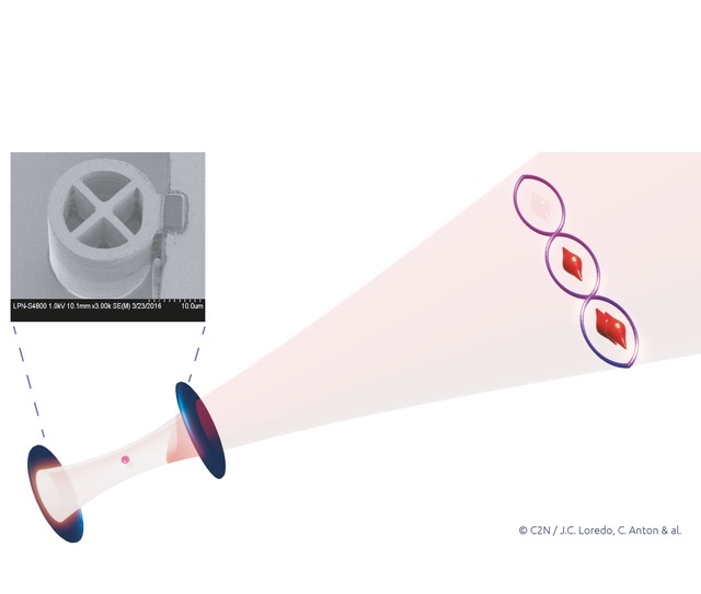 Schematic representation of the experiment