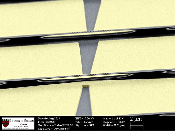 A scanning electron micrograph of the devices used in this experiment.