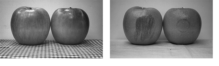 Switching light sources makes it possible to obtain the surface information and subsurface information of the apples simultaneously