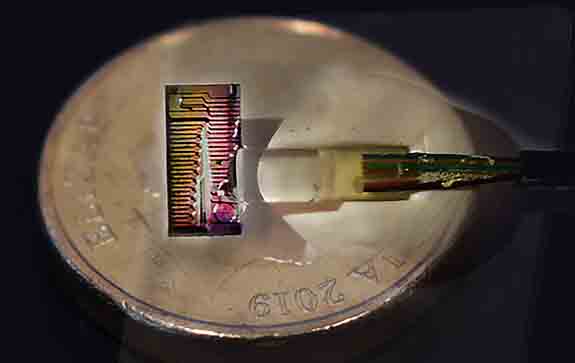 The micro-comb chip