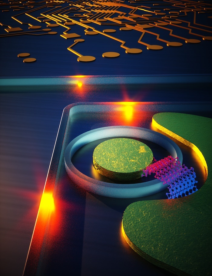 Artistic representation of a strain engineered 2D photodetector on silicon photonic circuit