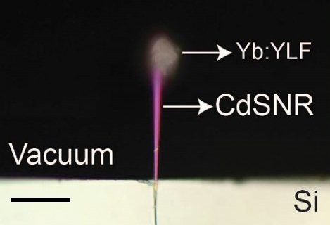 An image of the team’s experimental setup, taken using a bright-field microscope