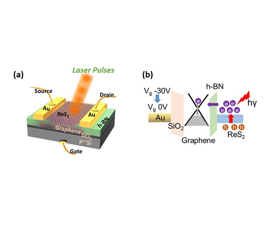 Schematic diagram of the memory device structure composed of a stack of graphene, h-BN and ReS2 layers and the wired source and drain electrodes