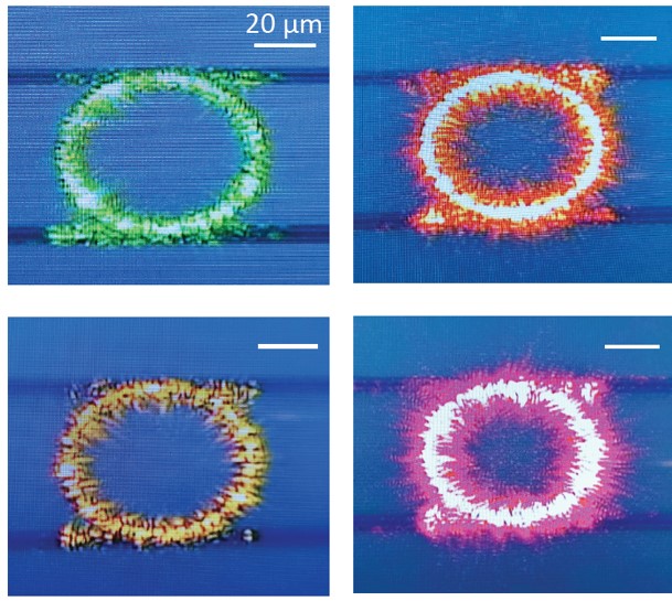 Series of nanophotonic resonators, each slightly different in geometry, generates different colors of visible light from the same near-infrared pump laser