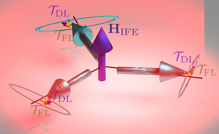 Magnetization in YMnO3 due to the inverse Faraday effect