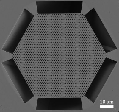 Top view of a scanning electron micrograph of the Berkeley Surface Emitting Laser