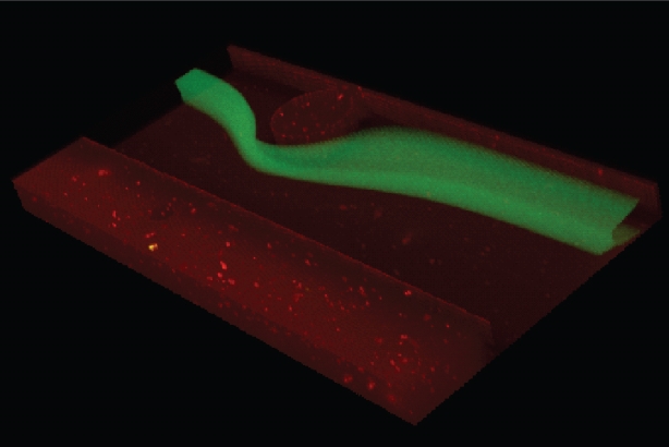 Fluid stream in microchannel