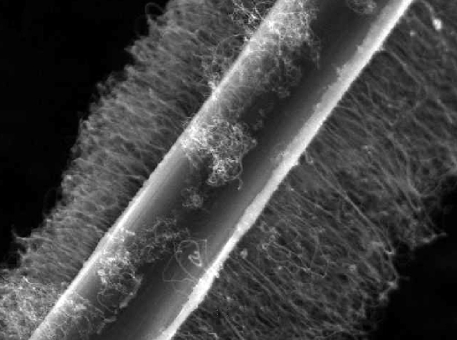 carbon fibers coated in carbon nanotubes