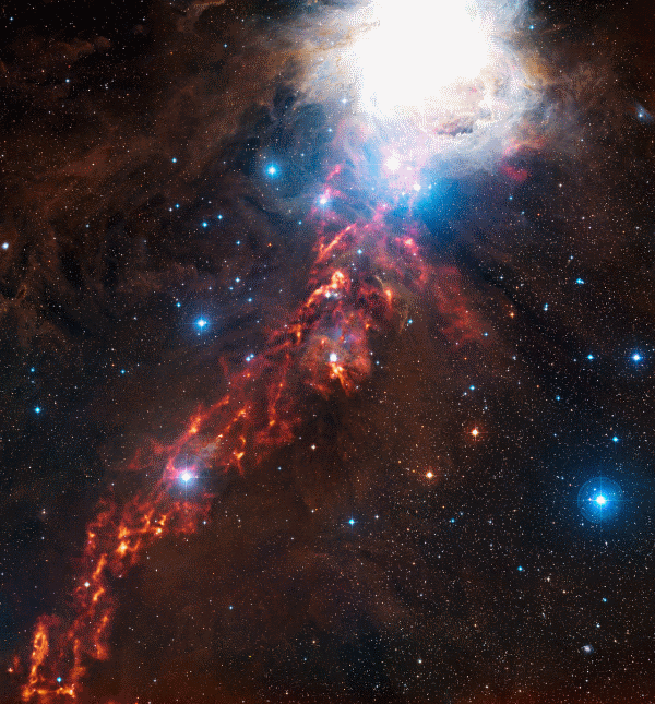 An APEX view of star formation in the Orion Nebula