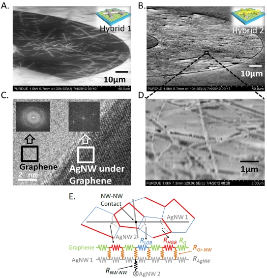 Electron microscope images show a new material for transparent electrodes