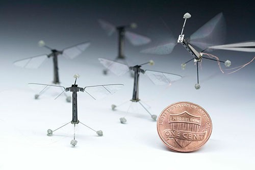 Harvard Robotic Insects 3