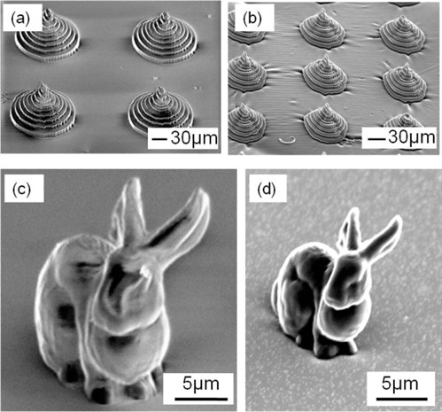 Omex Microbunny Fig2