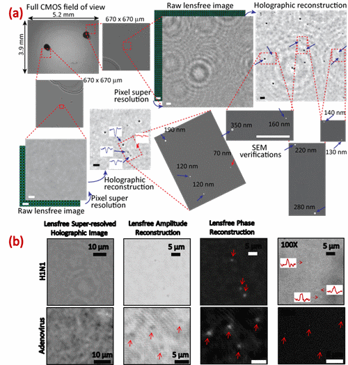 Osa Vd Fig 2