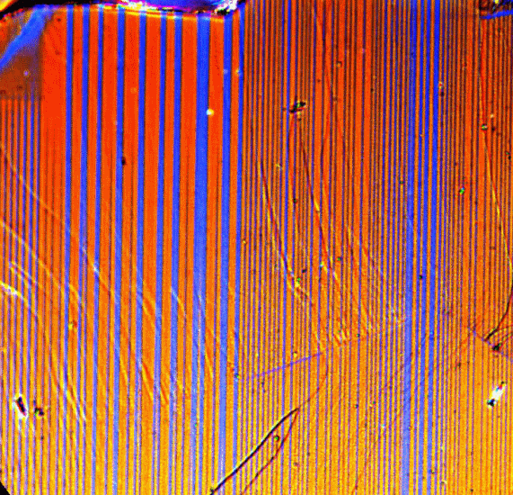 A polarized light microscopy image of structural domains