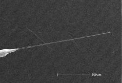 brain electrode that tapers to a point as thick as a single carbon nanotube