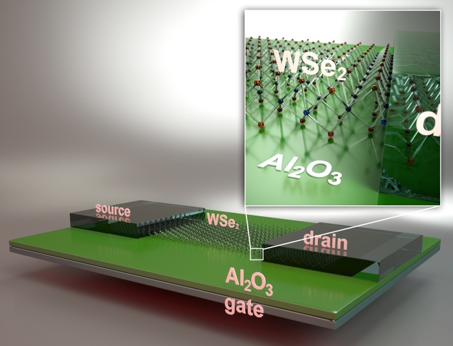 Schematic view of a back-gated field-effect-transistor