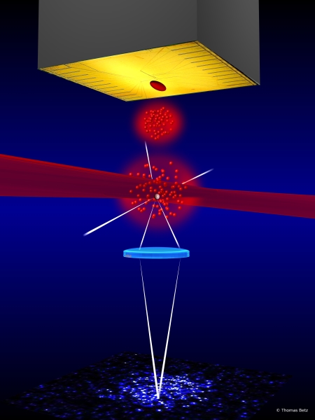 Lightsheet Illustration June