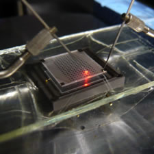 Typical emission image of Eu doped GaN based LED
