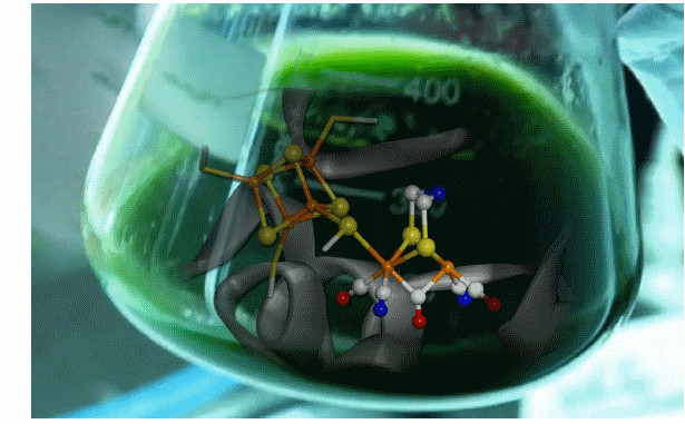 Artist’s rendering of the active site of hydrogenase