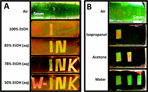 The Watermark Ink W INK Device 1