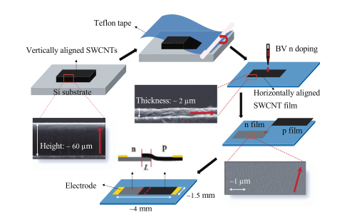 These schematic diagrams depict the fabrication process for p-n junction photodectors