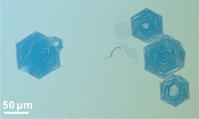 set of hexagonal graphene onion rings