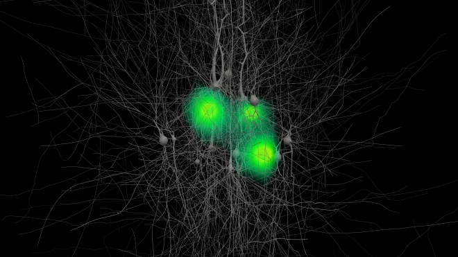 Computer visualization of brain waves