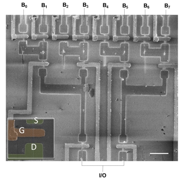 SEM image of a logic circuit based on 14 nanowires